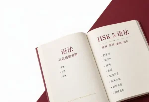 گرامر آزمون HSK 5