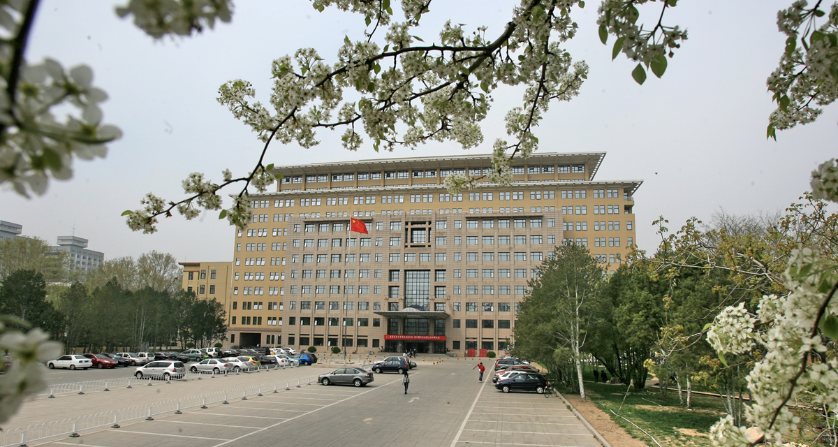 تحصیل در دانشگاه زبان و فرهنگ پکن