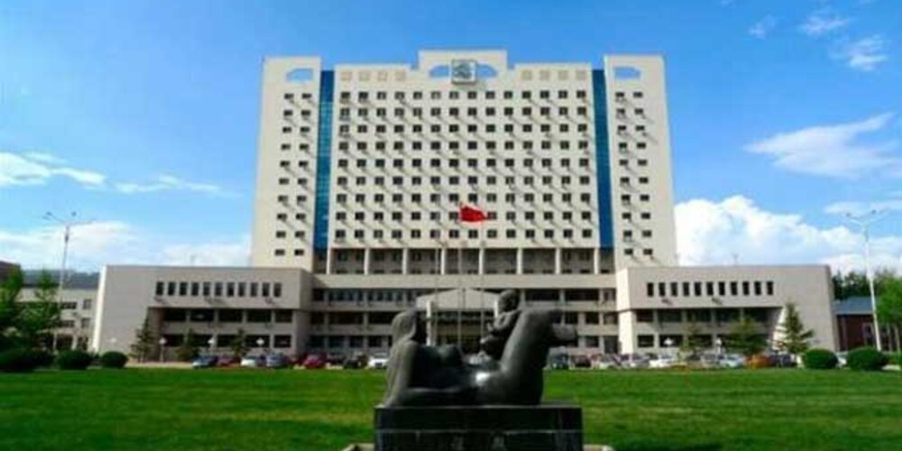 University of International Business and Economics china