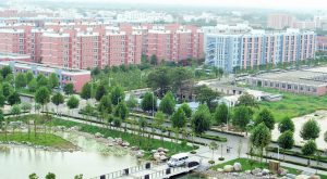 عکس خوابگاه بید